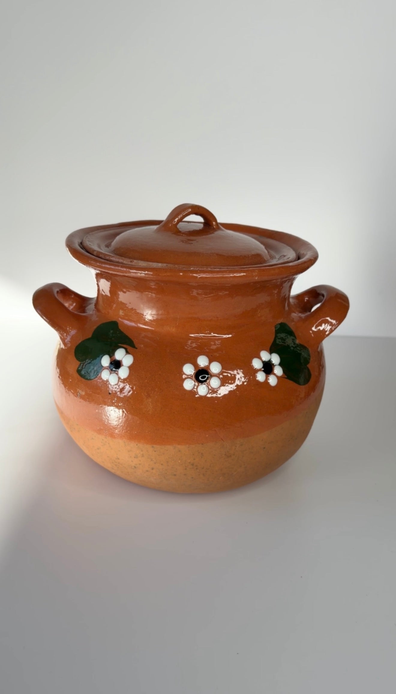 Authentic Mexican Clay Olla (Pot)